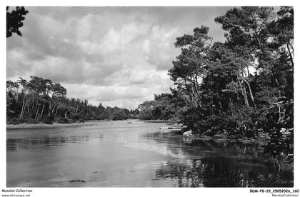 BDMP8-0563-29 - COMBRIT-SAINTE-MARINE - L'anse de Combrit