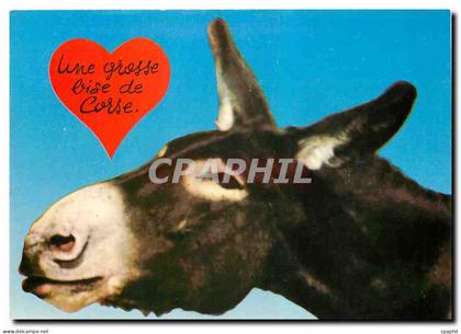 CPM Corse Ile de Beaute Une grosse bise de Corse Ane Mule