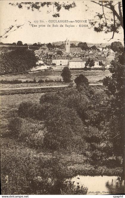 CPA Coulanges Sur Yonne Vue Prise Du Bois De Sapins Edsa