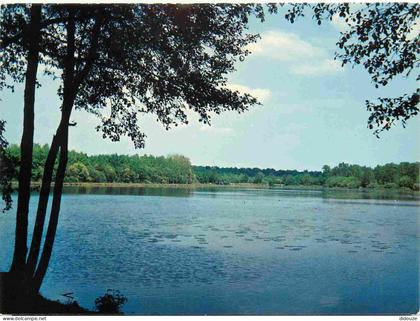 45 - Courtenay - Etang de la Jacqueminiere - CPM - Voir Scans Recto-Verso