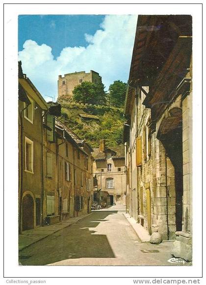 cp, 38, Crémieu, Le Château Delphinal vu de Crémieu, écrite
