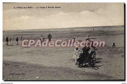 CPA Criel Sur Mer La Plage A Maree Basse