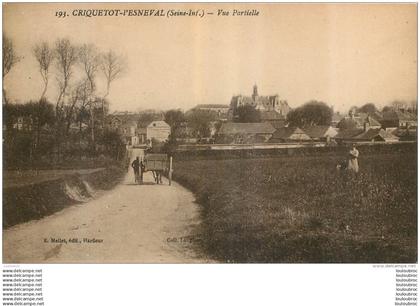 CRIQUETOT L'ESNEVAL VUE PARTIELLE  EDITION MELLET