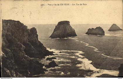 CPA Presqu'ile de Crozon Les Tas de Pois