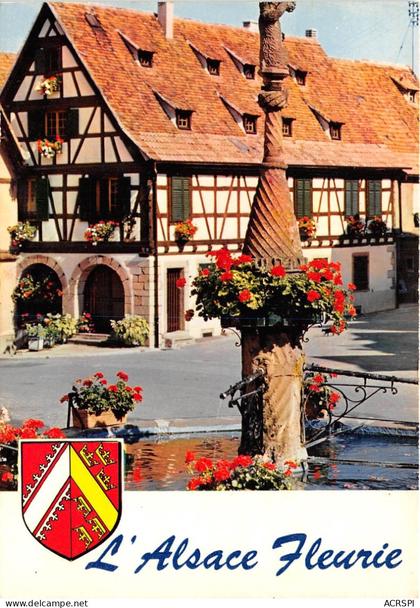 DAMBACH LA VILLE 24(scan recto-verso) MA872