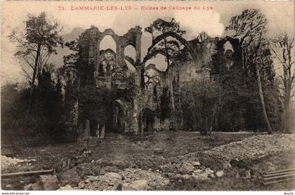 CPA DAMMARIE-les-LYS Ruines de l'Abbaye du Lys (1329439)