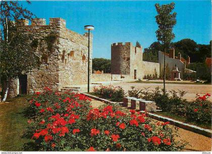 58 - Decize - Les remparts - CPM - Voir Scans Recto-Verso