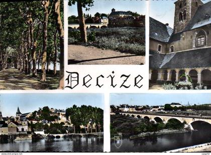 CPSM Decize Les Promenades Vue Generale