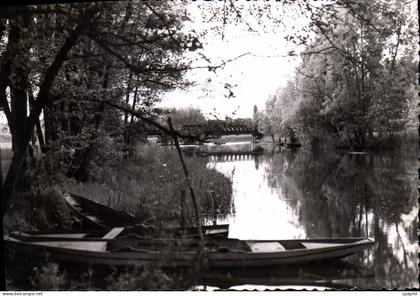 CPA Dordives Les Bords Du Loing Et Le Pont De Cesar