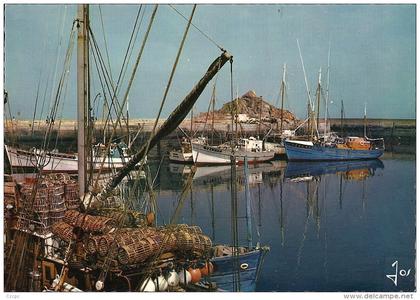 CPSM Douarnenez Bateaux devant le Flimiou