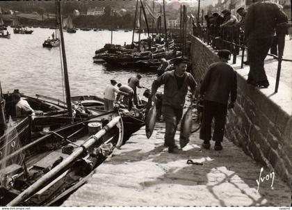 CPSM Douarnenez Finistere Arivage de Thons