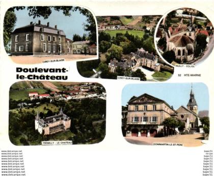 1 cpsm Doulevant le château