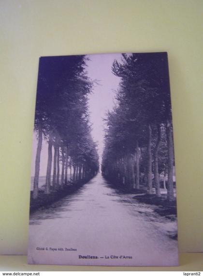 DOULLENS (SOMME) LES ARBRES. LA COTE D'ARRAS.