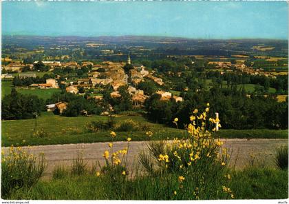 CPM Dourgne Vue Generale FRANCE (1016745)