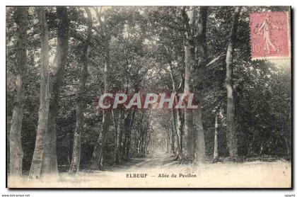 Elbeuf CPA Allee du pavillon