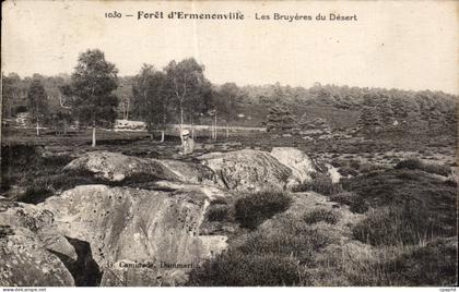 CPA Ermenonville Les Bruyeres du Desert