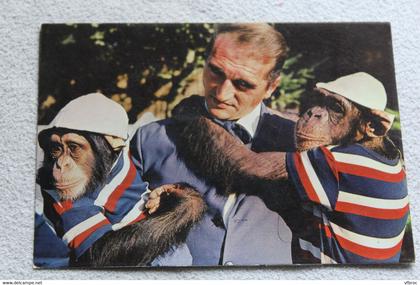 Cpm, Ermenonville, zoo Jean Richard, Jo Clavel et les chimpanzés, Oise 60