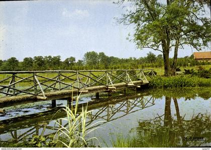 CPA Ervy le Chatel Aube L'Etang