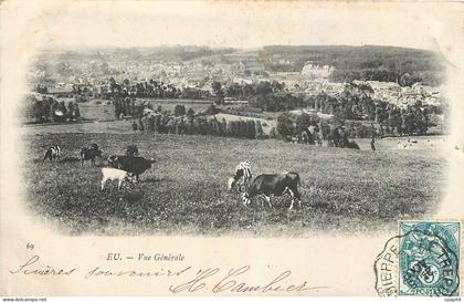 CPA Eu Vue Generale Vaches