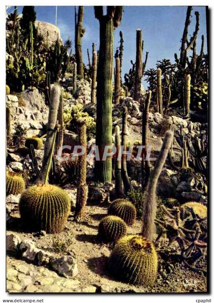 CPM Eze Village Le Jardin Exotique Cactus