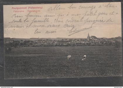 57 - FAULQUEMONT - Panorama