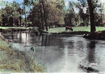 62 FAUQUEMBERGUES ENVIRONS DE FAUQUEMBERGUES