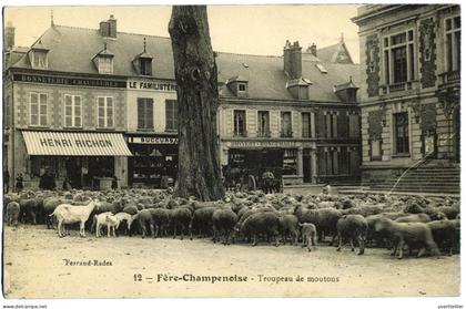 FRANCE Fère-Champenoise, troupeau de moutons.