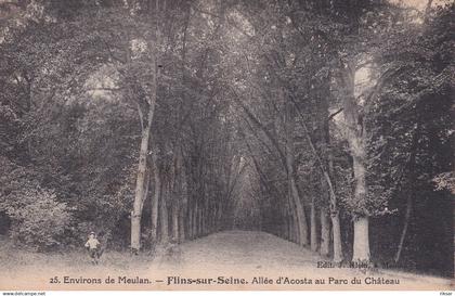 FLINS SUR SEINE(ARBRE)