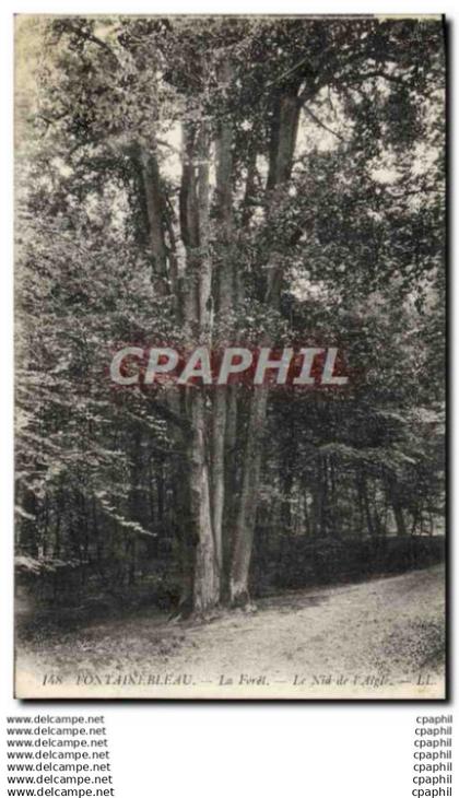 CPA Fontainebleau La Forel Le Nid de l&#39Aigle