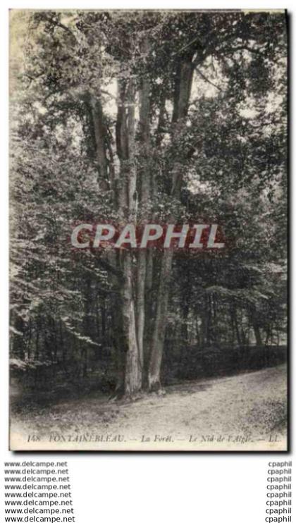 CPA Fontainebleau La Forel Le Nid de l&#39Aigle