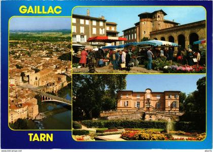 CPM Gaillac Souvenir FRANCE (1016757)