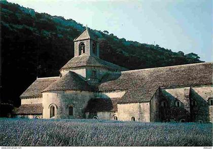 84 - Gordes - Abbaye de Sénanque - Champs de lavande - CPM - Voir Scans Recto-Verso