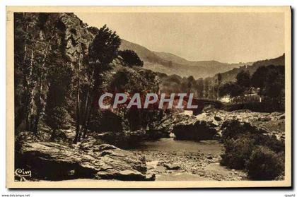 CPA Gorges Du Tarn Florac La plage de Florac Le rocher des fees