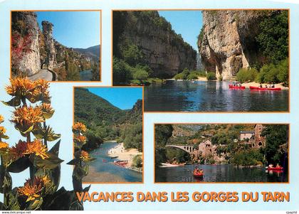 CPM Gorges du Tarn (Lozere) Pougnadoires Les Detrois
