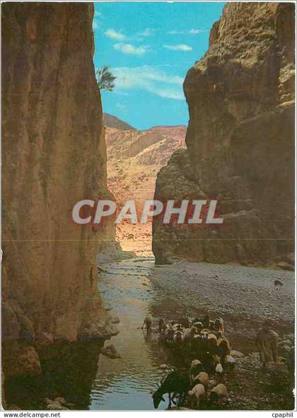 CPM Tinghir Les Gorges du Tarn