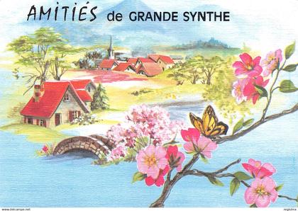 59-GRANDE SYNTHE-N°3508-B/0003