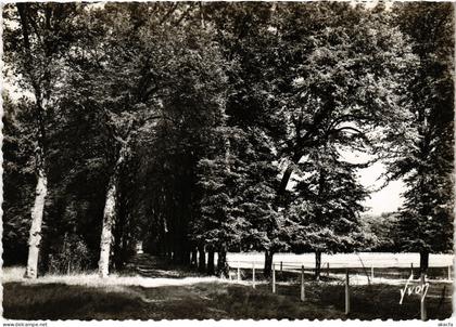 CPM Grignon L'allee des tilleuls FRANCE (1452582)