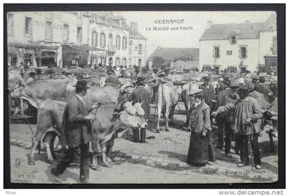 44 Guérande GUERANDE Le Marché aux boeufs marche bestiaux boeuf    D44D  K44069K  C44069C RH015090