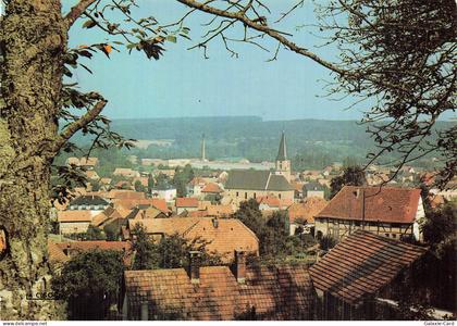 68 HIRSINGUE VUE GENERALE