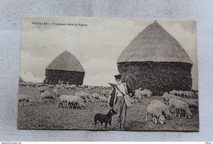 Houilles, troupeau dans la plaine, Yvelines 78
