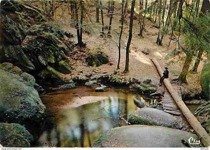 29 - Huelgoat - La Forêt - La mare aux Sangliers - Voir Scans Recto Verso