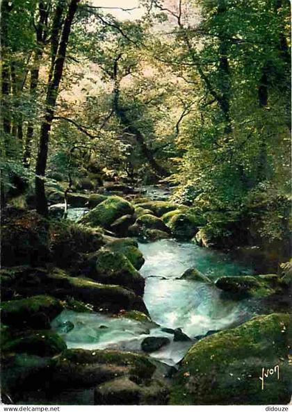 29 - Huelgoat - La Forêt - La rivière d'argent - Voir Scans Recto Verso