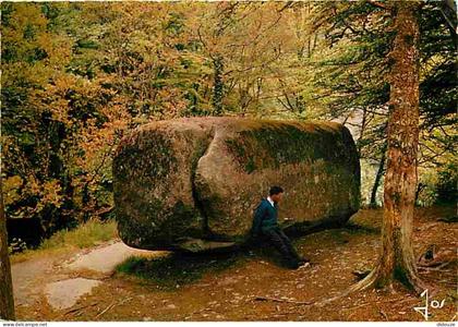 Carte Postale - 29 - Huelgoat - La Forêt - Roche - Voir Scans Recto Verso
