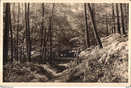 Huelgoat - Route dans la foret - CPA