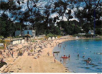 Carte Postale - 56 - Ile aux Moines - CPM - Voir Scans Recto-Verso - Poscard - Carta Postal -  Postkarte