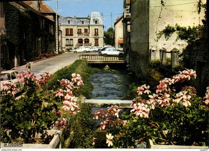 CPSM IS-sur-TILLE rives fleuries