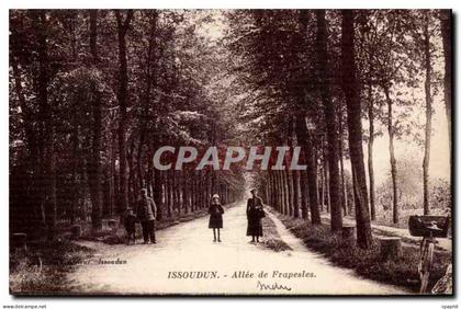 Issoudun - Allee de Frapesles CPA