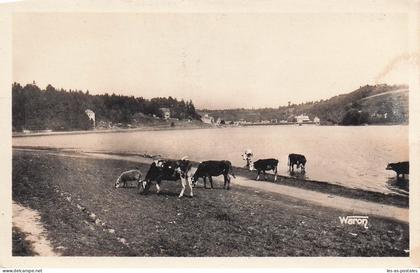 22 JUGON LES LACS VUE GENERALE ET L ETANG