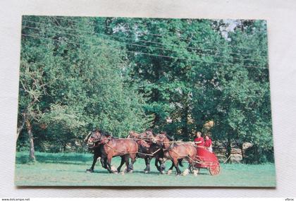 Cpm, Juvigny sous Andaine, la Michaudière, ferme du cheval de trait, Orne 61