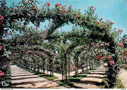 94 - L'Hay les Roses - La Roseraie - Fleurs - CPM - Voir Scans Recto-Verso